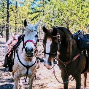 Meet your Posher, Sandra